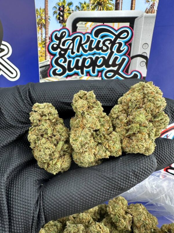 Alien Cookies strain