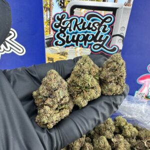 Black Ice Strain