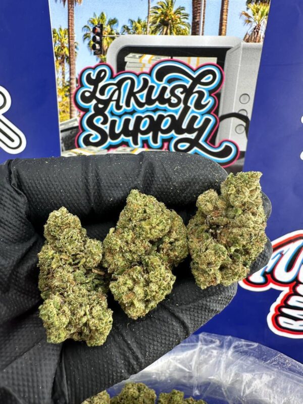 Blueberry Gumbo Strain