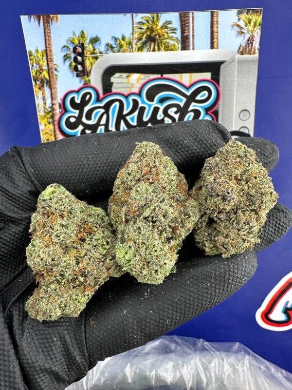 Blueberry Munchkin strain